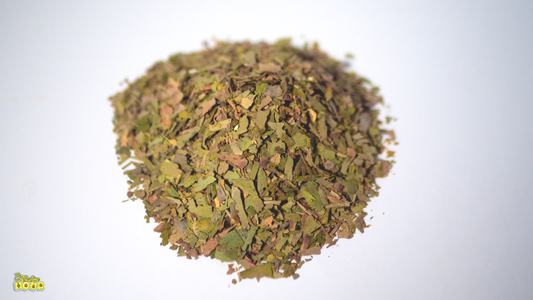 Gingko Biloba