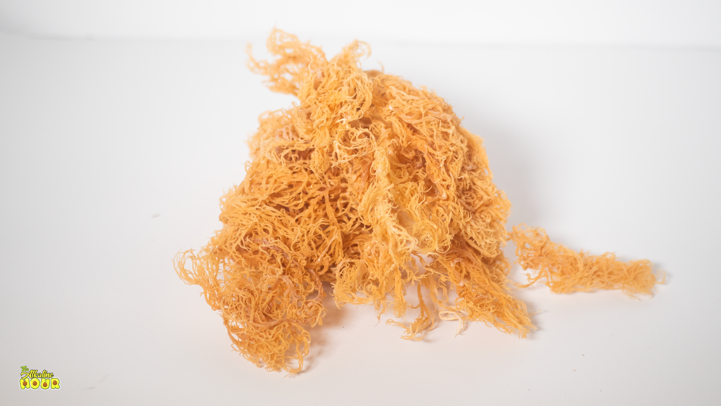 Pound Of Sea moss