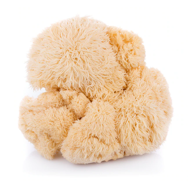 Lions Mane Mushroom (Powder)