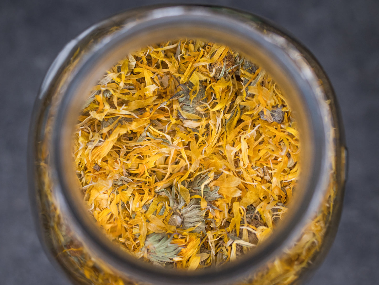 Calendula