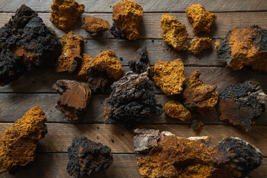 Chaga Mushroom (Powder)